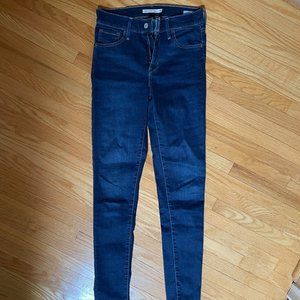Levi's Blue Skinny Jeans